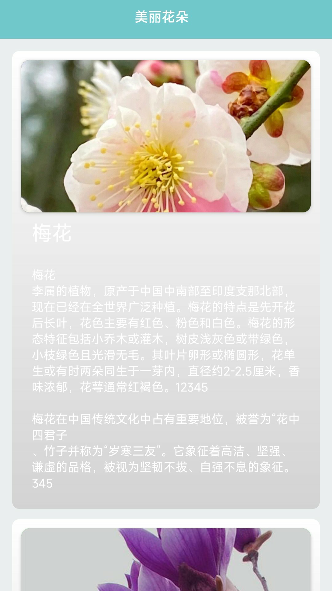 我的花店 1.0.4 安卓版 1