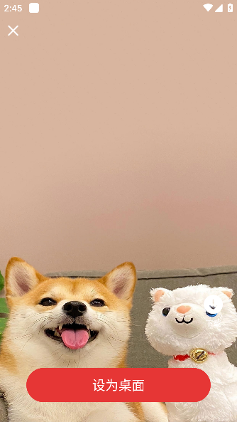 樱桃壁纸app安卓版下载