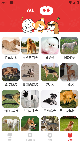 樱桃壁纸app安卓版下载