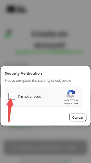 Anuneko米哈游 3.0 安卓版 1