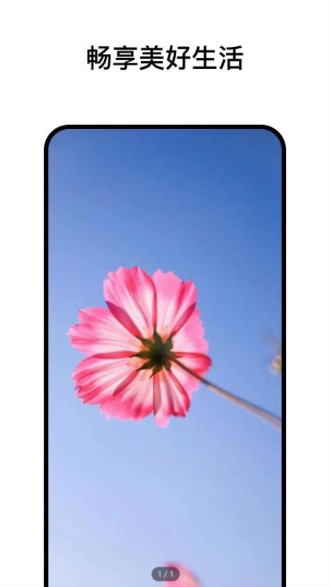 阅小花 1.1.0 安卓版 2