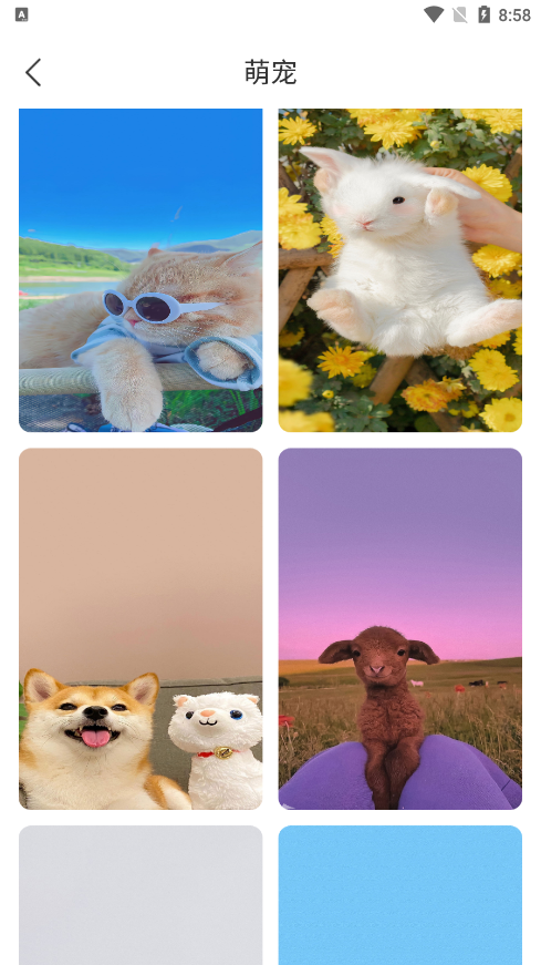 花令壁纸 1.0.0 安卓版 2