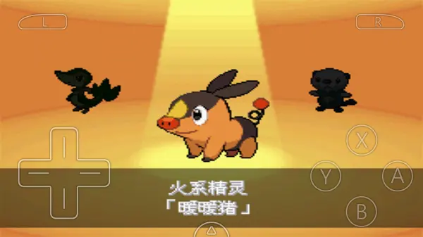 口袋妖怪黑2中文 1.0 安卓版 4