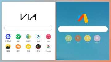 via浏览器版本大全