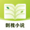刺槐小说