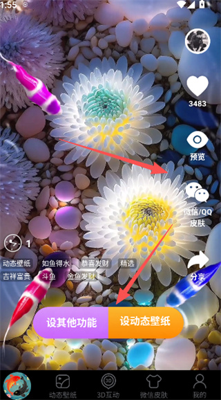 锦鲤金鱼壁纸正式版本下载