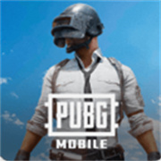 pubg黑暗直装