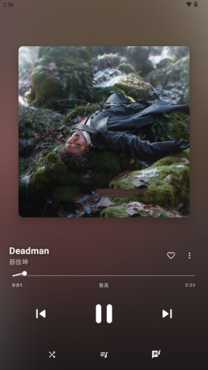 梅花音乐APP安卓下载免费版-梅花音乐APP手机版下载安装最新版v1.51