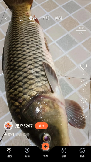 小红鱼ai智钓官方移动版app下载-小红鱼软件免费版安卓版安装包下载