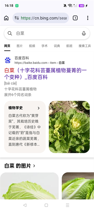 cromite 145.0.7632.120 安卓版 0