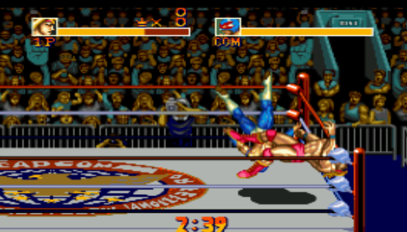 摔跤霸王 4.0 安卓版 2