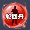 轮回丹脚本公益版