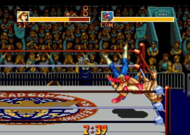 摔跤霸王单机版 4.0 安卓版 2