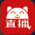 红猫影视TV软件下载-红猫影视TV电视版
