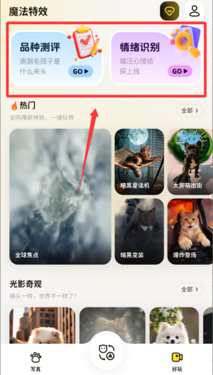 宠玩 1.8.7 最新版 1