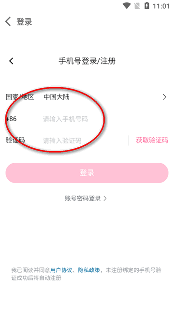 b站视频下载器(BVD)