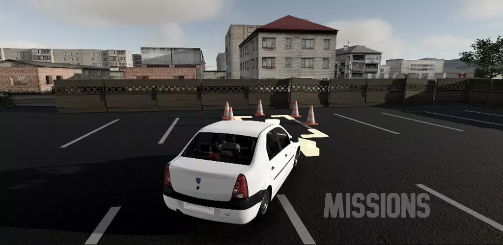 驾驶专家2 0.85 安卓版 1