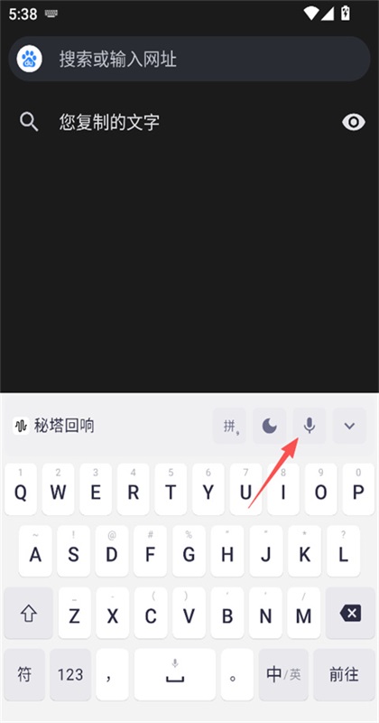 秘塔回响 1.0.2 安卓版 3