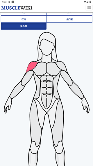 MuscleWiki锻炼与健身中文版app下载-MuscleWiki官方版软件手机版下载v2.7.1