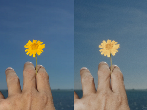 Colorby AI 照片调色编辑器