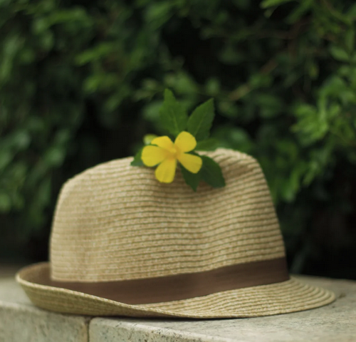 Colorby AI 照片调色编辑器