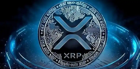 十大瑞波币交易所排行榜