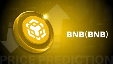 全球bnb币交易所排行榜最新2026