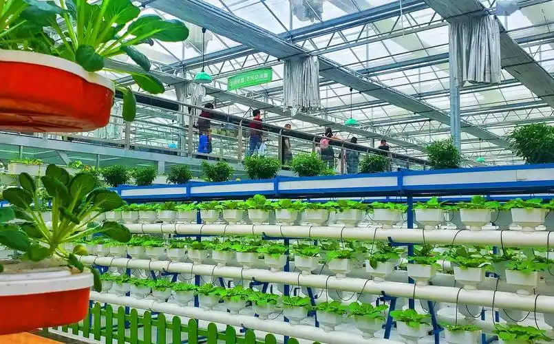 1749803553803230 - 副本 - 副本 (42) - 副本.png