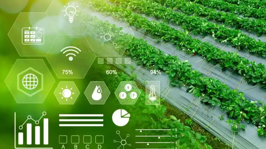 1749803553803230 - 副本 - 副本 (42) - 副本.png