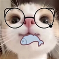 主题仓Pro
