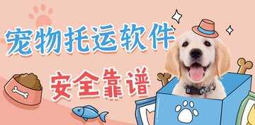 宠物托运找哪个平台