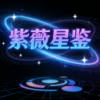 紫薇星鉴排盘