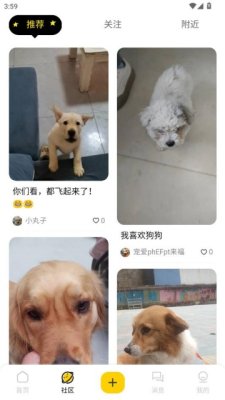 汪汪小镇 1.0.6 安卓版 1