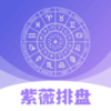 紫薇排盘免费排盘
