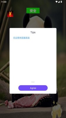 幽灵容器直装 1.0 安卓版 1