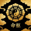 命枢排盘