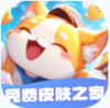免费皮肤之家
