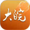 大皖plus客户端