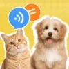 猫狗动物交流神器