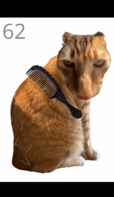 给猫梳毛 1.0 安卓版 1