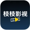 枝枝影视无广告