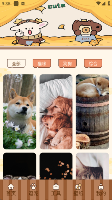 汛语翻译 1.1 安卓版 3