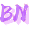 BN直装