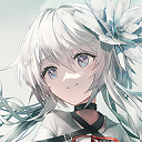 星之终途直装版