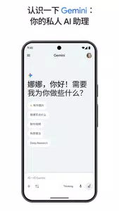 gemini2.5 1.0.913571982 官方版 0