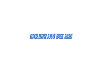 BOBO浏览器进不去打不开?按这个顺序排查一遍就行(实测有效)