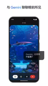 gemini3.0pro 1.0.913571982 安卓版 0