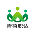 青荷职达招聘