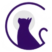 夜猫阅读小说