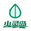 小灵岛